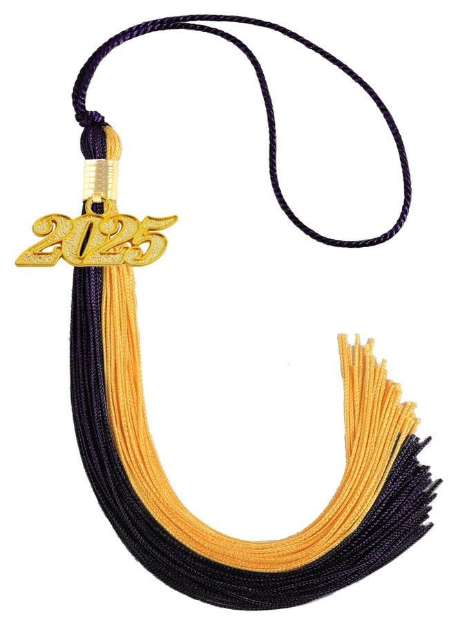 GRADFTY 2025 Tassel Graduation, Black and Gold Tassel 2025 - Image 1